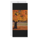 autumn (1) rack card template
