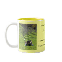 Autumn 2007 Mount Lofty Bota... mugs