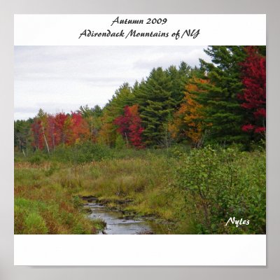 Autumn 2009 Adirondack Mountain... Print by nhmgifts