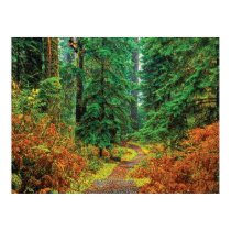 Autumn 31 cmyk posters