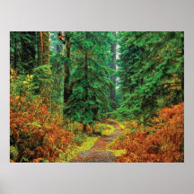 Autumn 31 cmyk print