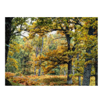 Autumn 34 posters