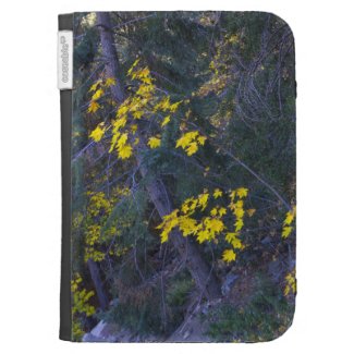 Autumn 8 cases for the kindle
