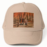 Autumn - A walk in the countryside Hats