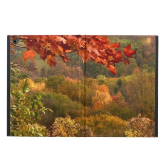 Autumn Abstract Powis iPad Air 2 Case