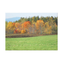 Autumn Adirondacks Trees Scene Landscape Gallery Wrapped Canvas