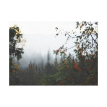 Autumn Adirondacks Trees Scene Landscape Canvas Prints