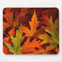 Autumn again.. mousepads by write2chinu Autumn again.. mousepads