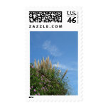 Autumn and pampas grass and blue sky postage stamps