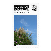 Autumn and pampas grass and blue sky postage stamps