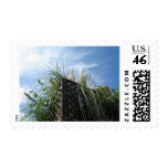 Autumn and pampas grass and blue sky stamp