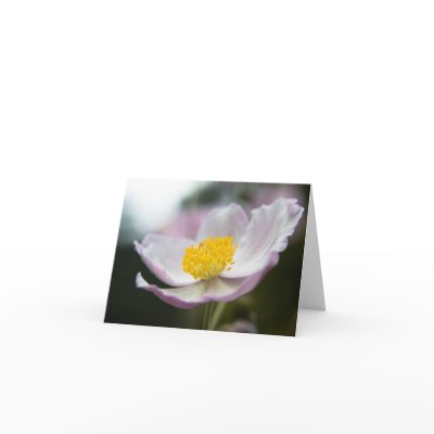 Autumn Anemone Note Card by SabineSt