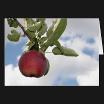 Autumn apple and clouds - blank card by clarionphoto Autumn apple and clouds - blank card