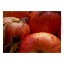 Autumn Apples cards by BooRadBop Autumn Apples cards