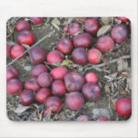 Autumn Apples Mousepad
