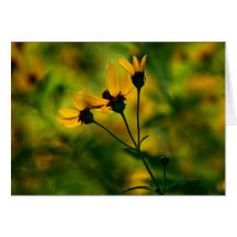 Autumn Approach Greeting Cards
