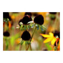 Autumn Approachs posters