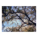 Autumn Arches posters