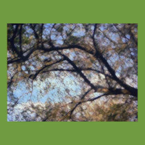 Autumn Arches posters