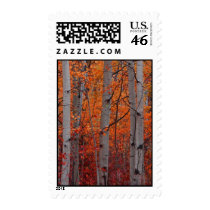 Autumn Aspen Stamps