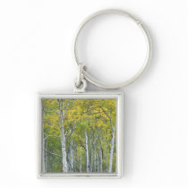 Autumn aspens in McClure pass in Colorado. Keychain