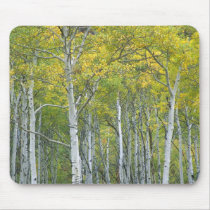 Autumn aspens in McClure pass in Colorado. Mouse Pad