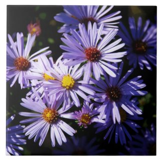 Autumn Asters Ceramic Tile Trivet