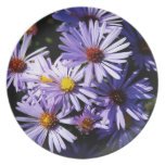 Autumn Asters Decorative Plate