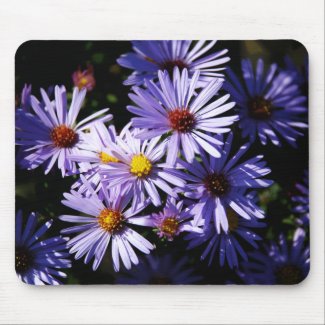 Autumn Asters Mousepad