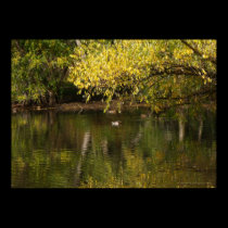 Autumn at Beus Pond posters