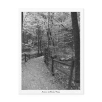 "Autumn at Blendon Woods" Postcard