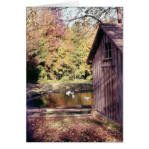 Autumn at Bronte Creek cards by kchwxdr Autumn at Bronte Creek cards