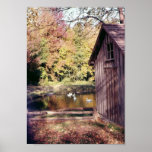 Autumn at Bronte Creek Print