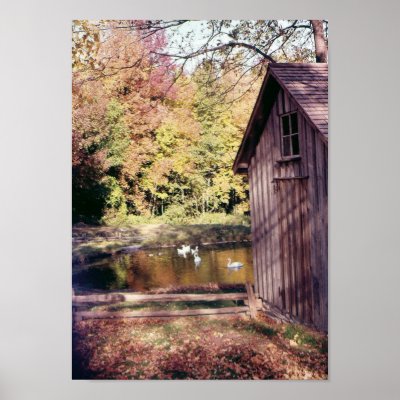 Autumn at Bronte Creek Print by kchwxdr