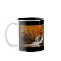 Autumn at Factory Falls Mugs
