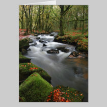 Autumn at Golitha Falls cards