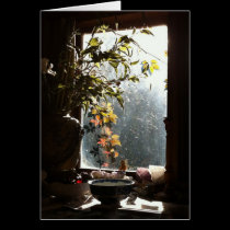 Autumn at Mardi's cards