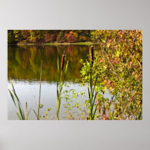 Autumn at Pond Print