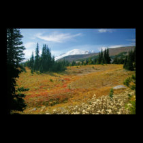 Autumn at Rainier posters