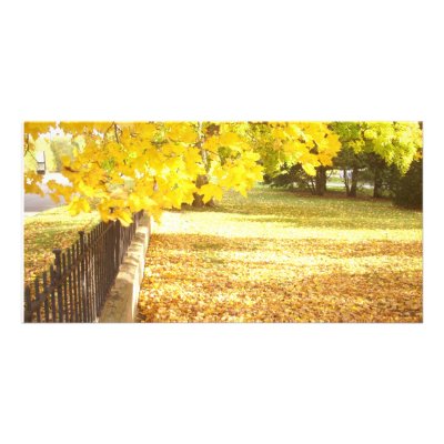 Autumn at The Gallery Photo Card Template by Temagami