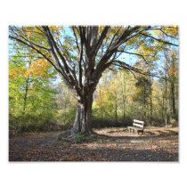 Autumn At Woldumar photography