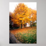 Autumn beatiful View Posters