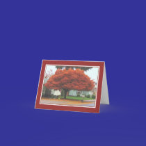 Autumn Beauty BLANK Note Cards (20)