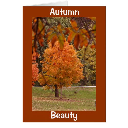 Autumn Beauty card