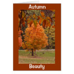 Autumn Beauty Greeting Cards