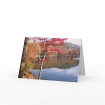Autumn Beauty cards by RhoseZazzle Autumn Beauty cards