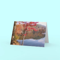 Autumn Beauty cards