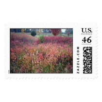 Autumn Beauty postage