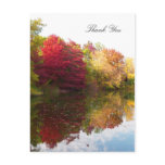 Autumn Beauty Sympathy Thank You Postcard