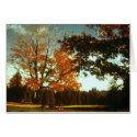 Autumn Begins cards by kchwxdr Autumn Begins cards